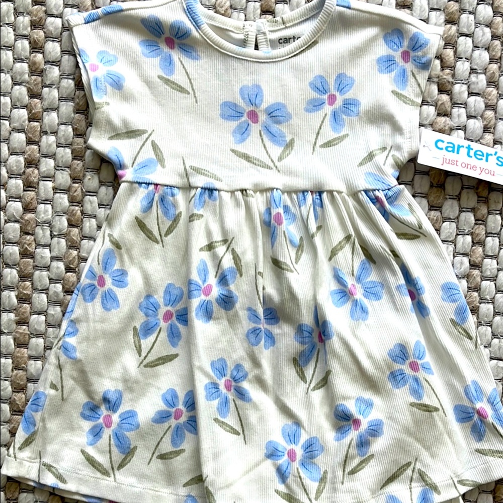 NWT Blue Floral 12mo Dress